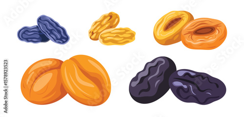 Assorted Dried Fruits Illustration