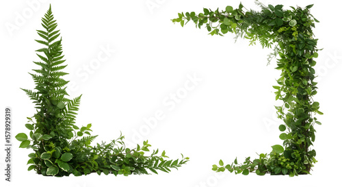 Isolated Green Leaves Frame Corner Botanical Element on Transparent Backround
