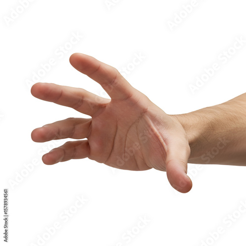 Isolated Open Hand Gesture Skin Detail on Transparent Background Illustration