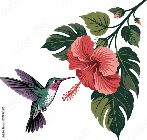 Elegant vector illustration of a hummingbird and floral blossom pattern for spring nature design with a touch of vintage beauty