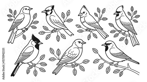 A cute cartoon illustration of a set of birds on a tree branch, creating a seamless nature pattern