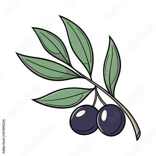 Lemon Myrtle Berry with Glossy Dark Skin — Aromatic Native Fruit Vector