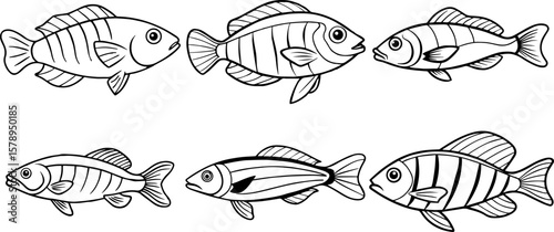 Set of Cleaner wrasse fish outline vector illustration 