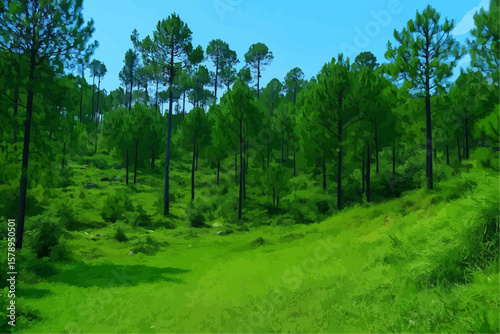 forest in the summer
