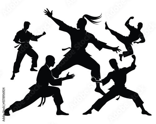 Dynamic Silhouettes of Martial Artists in Action Poses on a White Background