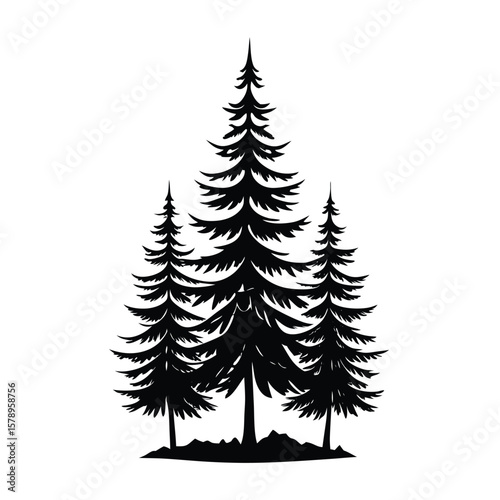 Black pine trees silhouette white evergreen