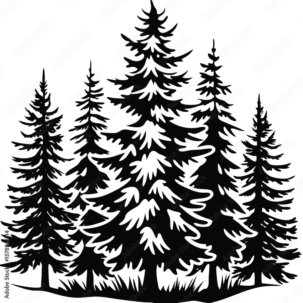Obraz premium Black silhouette of evergreen trees forest nature