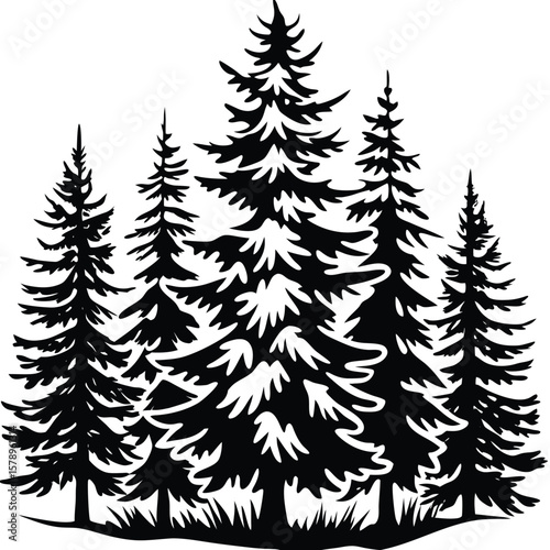 Black silhouette of evergreen trees forest nature