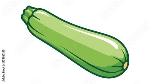 fresh green zucchini