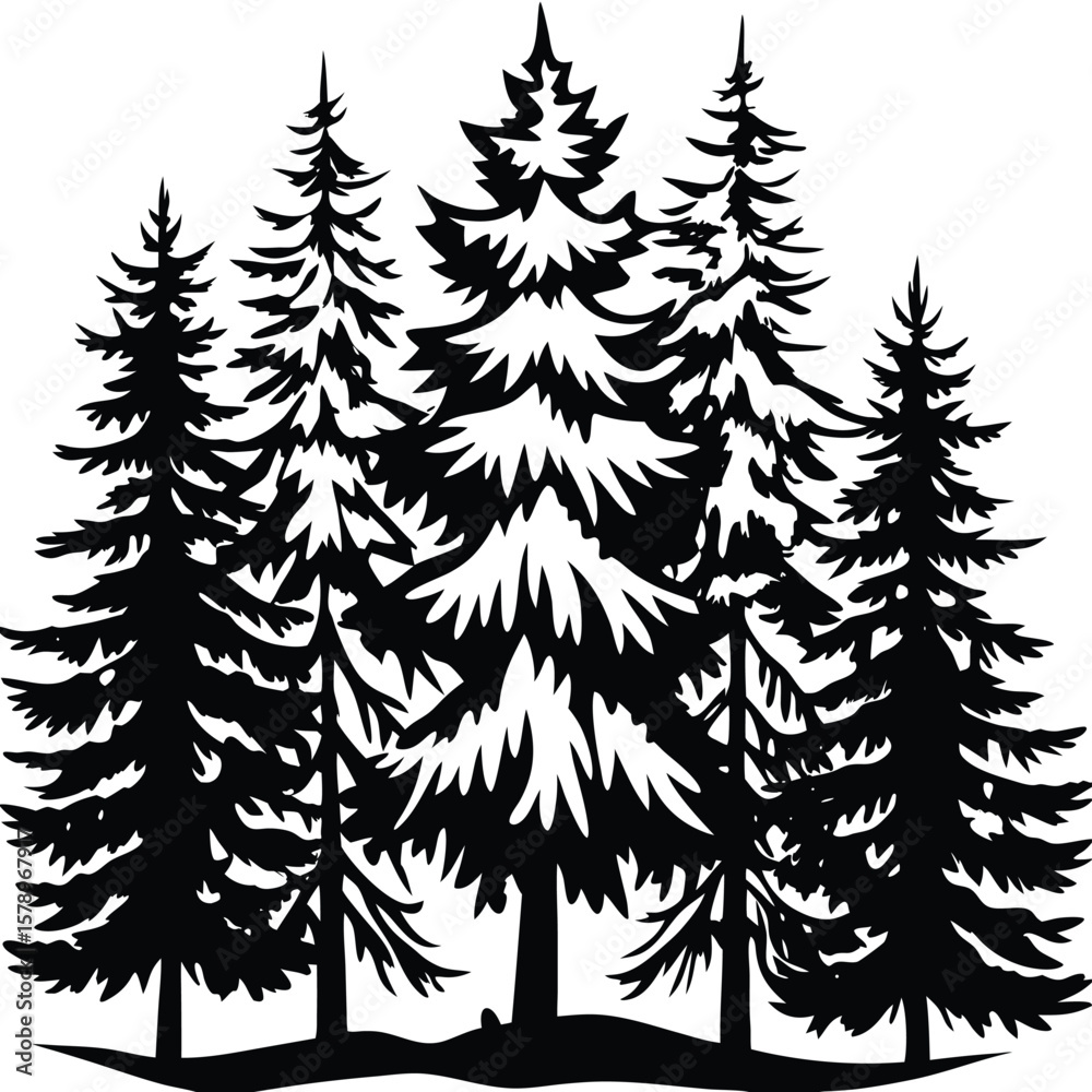 Obraz premium Dense evergreen forest silhouette trees black and white
