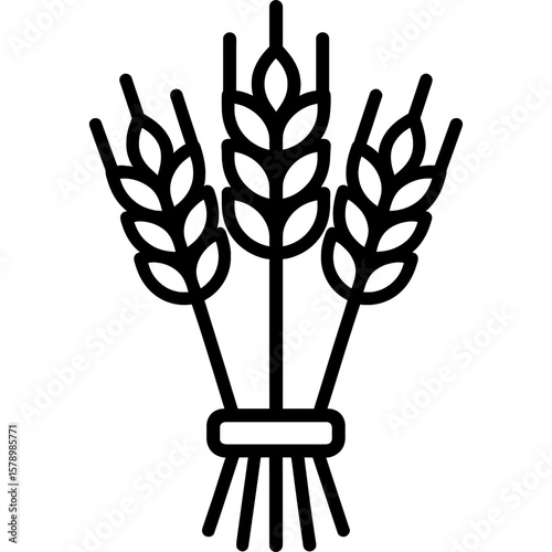 Wheat stalks bundle outline icon vector