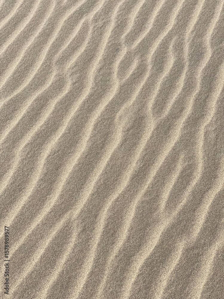 Fototapeta premium Patterns of wind-blown sand creating gentle waves on a serene beach near the ocean on a sunny day