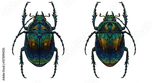 Isolated Illustration of Iridescent Metallic Beetles on Transparent Background