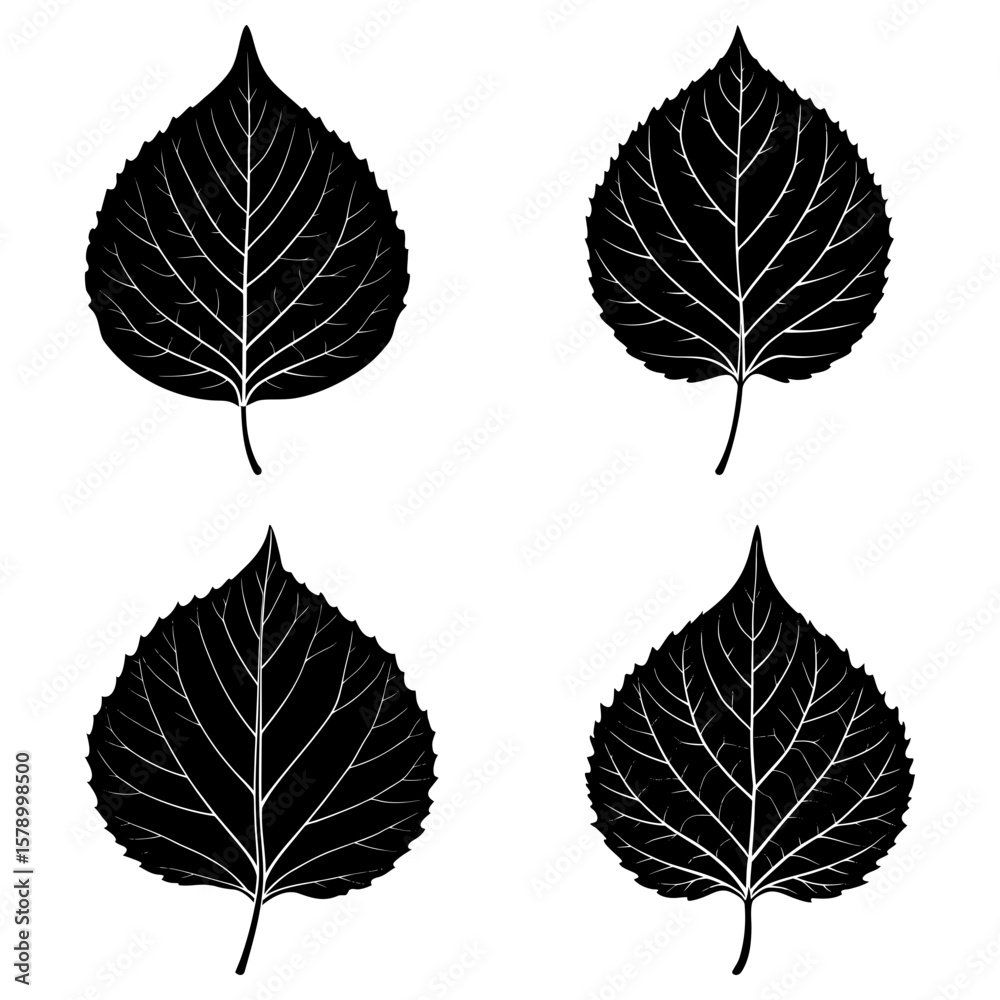 Obraz premium Four black and white leaves with prominent veins arranged in a square pattern on a white background