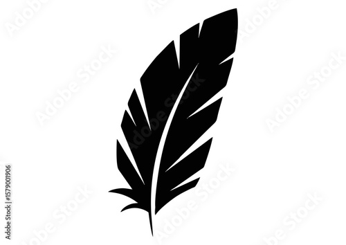 Black feather silhouette with detailed veins