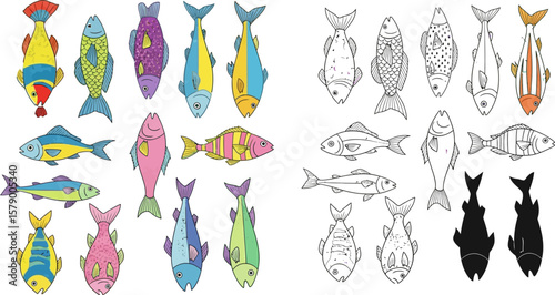 Colorful fish illustration set vector drawing for kids book design and coloring page design drawing art 1