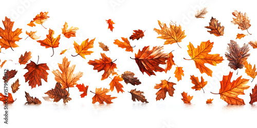 Autumn leaves falling against a white background, showcasing vibrant fall colors and various leaf shapes.