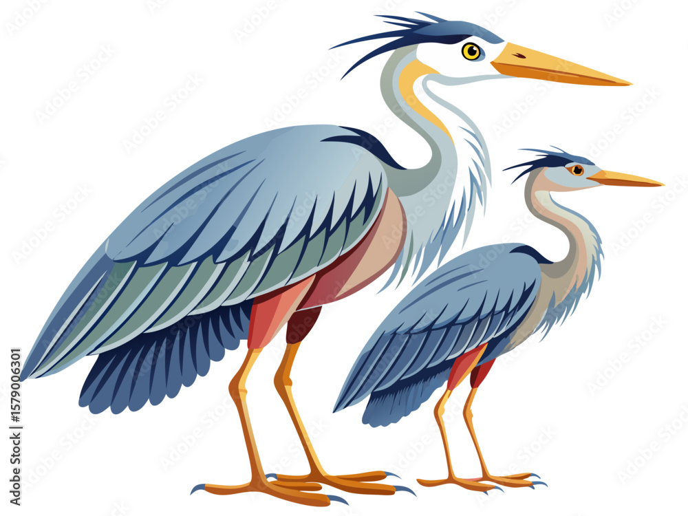Obraz premium heron on white background