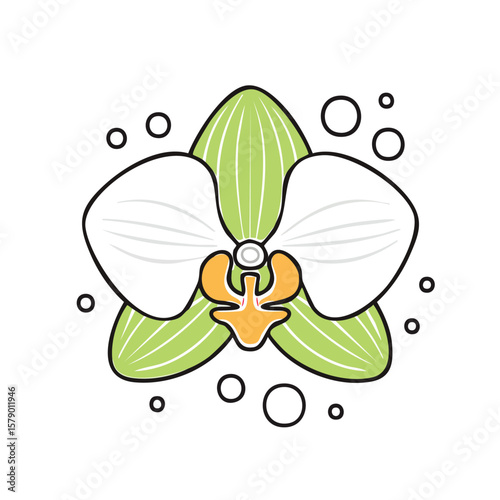 Vector Illustration of Orchid Flower with Bold Black Outlines and Flat Colors in Modern Graphic Style