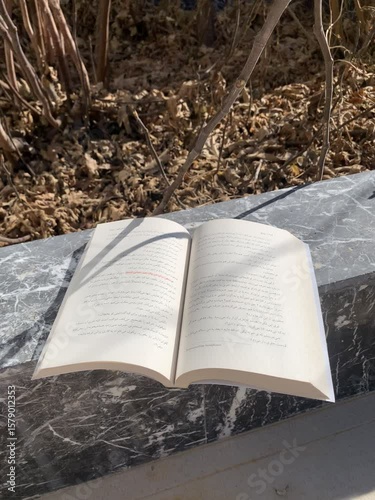 old book on the grass