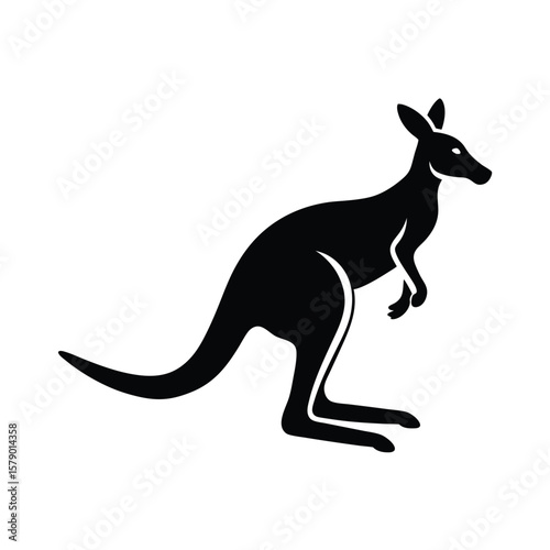 kangaroo vector illustration