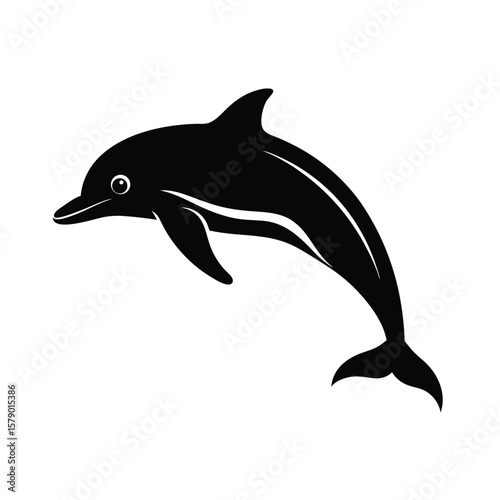 dolphin vector illustration