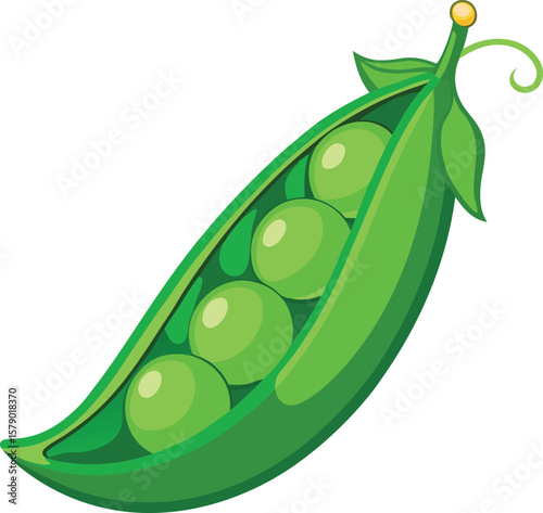 Fresh Fruit Slice Graphics Fresh Green Peas in a Pod, Vibrant Illustration of Healthy Vegetarian Food