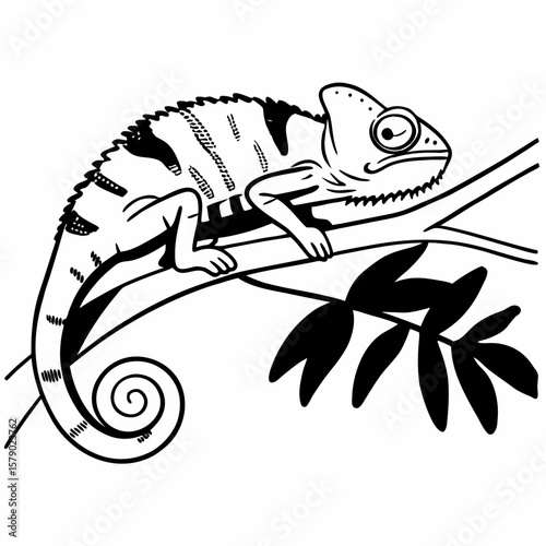 fish on a hook