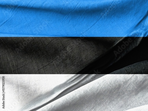 Estonian National Flag Waving Proudly
