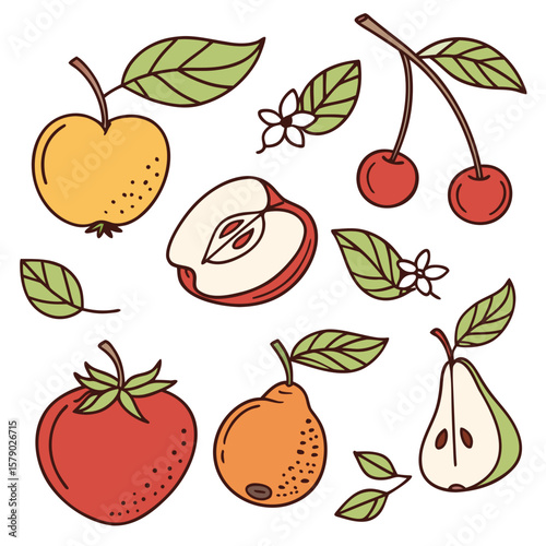 Hand drawn fruits and leaves illustration apple pear