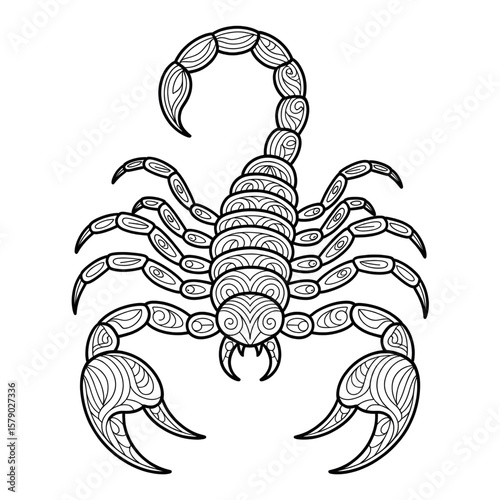 A beautiful line drawing of a scorpion coloring page