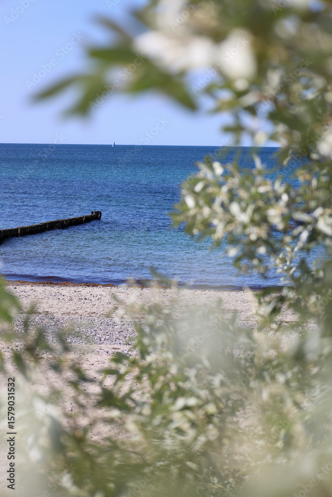 Obraz premium Tranquil waves roll onto the Baltic Sea shore under a wide open sky — a peaceful moment by the coast.