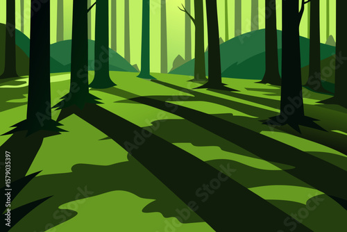 forest shadows stretching across mossy ground
