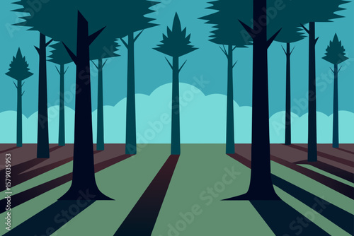 tall trees casting shadows on damp earth