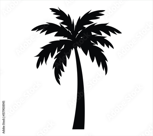 Beach Scene Palm Tree Silhouette