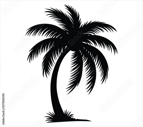Palm Tree Silhouette for Logo Use