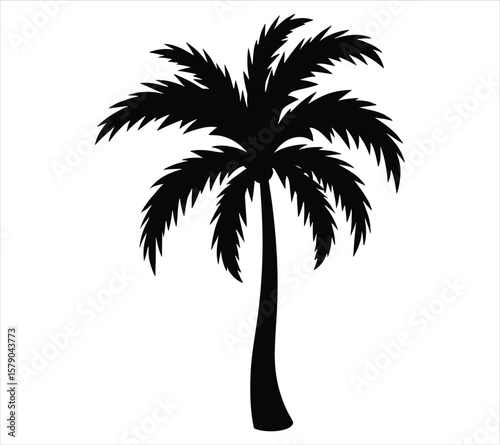 Palm Tree Vector Illustration Silhouette