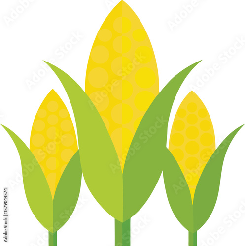 Pancake Stack Graphic Presentations Fresh Sweet Corn on the Cob, Vibrant Yellow and Green, Agricultural Illustration, Farm-to-Table Food, Healthy...