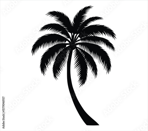 Silhouette of Palm Tree for Wall Art