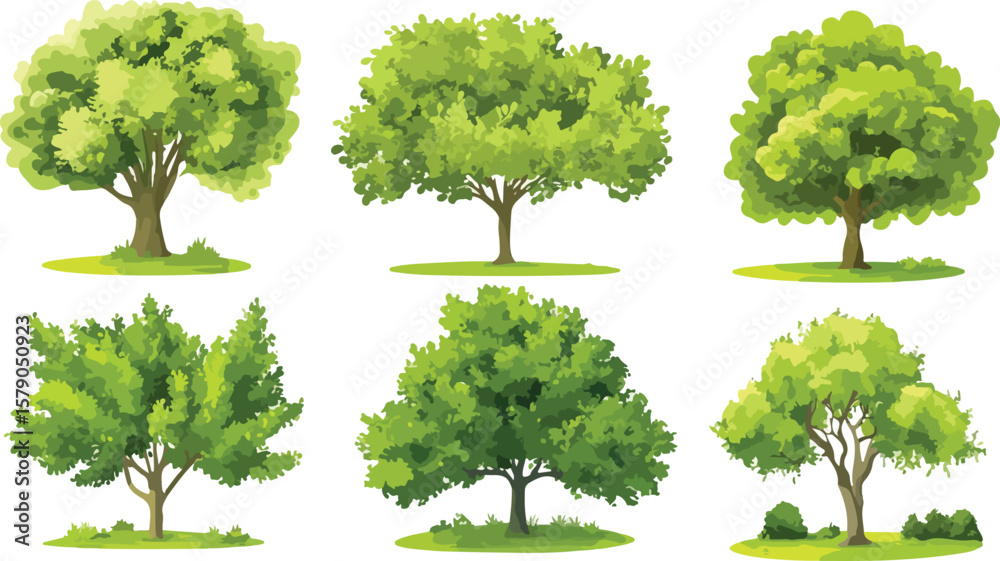 Fototapeta premium Set of six different cartoon tree illustrations with green foliage on white