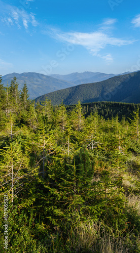Summer Carpathian mountains evening view. Stony Gorgany massif, Ukraine.