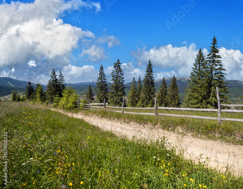 Summer Gorgany massiv mountains scenery view from Sevenei hill (near Yablunytsia pass, Carpathians, Ukraine.)
