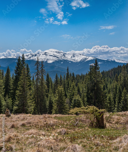 Spring Carpathian mountains view, Ukraine.