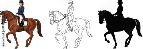 Dressage horse riding illustration vector graphics equestrian sport training horse and rider artwork design