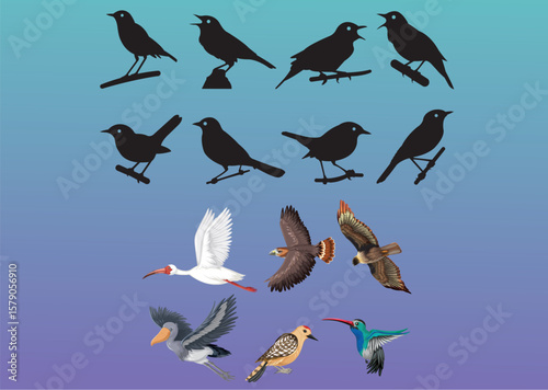 Set of different kinds of birds Vector