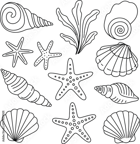 Vector Marine Life Outline Set: Seaweed, Starfish, and Shells for Aquatic Designs.