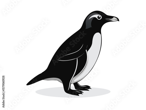 Transparent background: Cute black and white penguin illustration, a charming depiction of Arctic wildlife.

