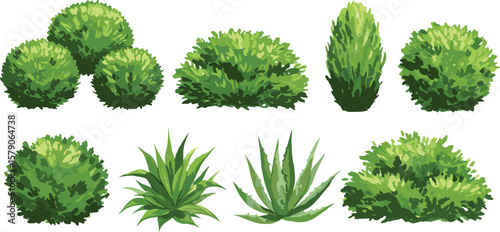 
Set of green bushes and succulent plants illustration, decorative garden shrubs, natural foliage elements for landscaping, isolated on white background