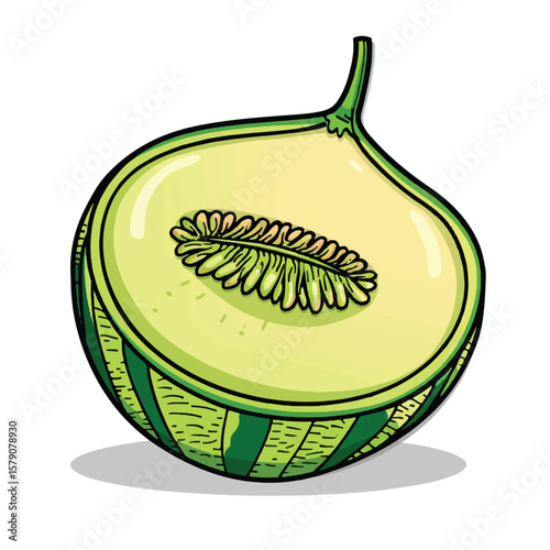 Halved Honeydew Melon with Detailed Seed Illustration