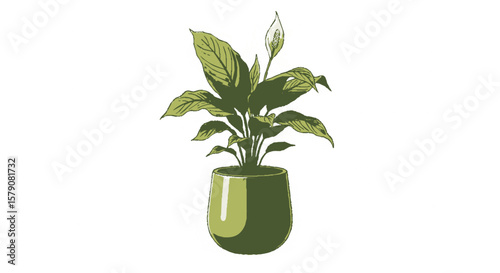 A stylized illustration of a peace lily plant in a dark green pot.